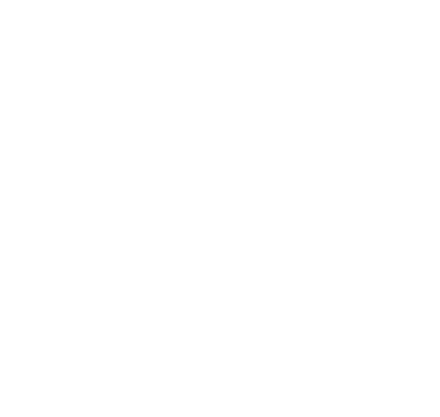 Strana rómskej koalície (SRK)